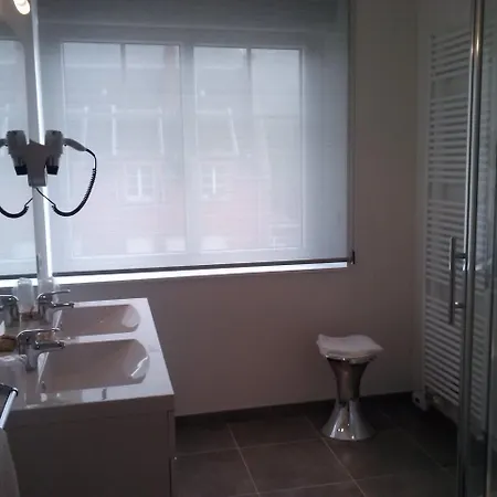 Logis - Restaurant Du Canard 酒店 3*