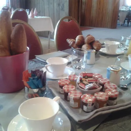 Logis - Restaurant Du Canard 酒店 3*